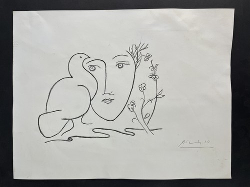 Pablo picasso drawing and - pablo,