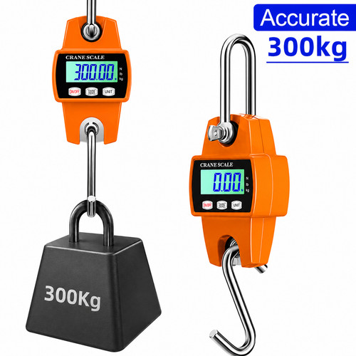 Mini crane scale weight - weight, 300kg