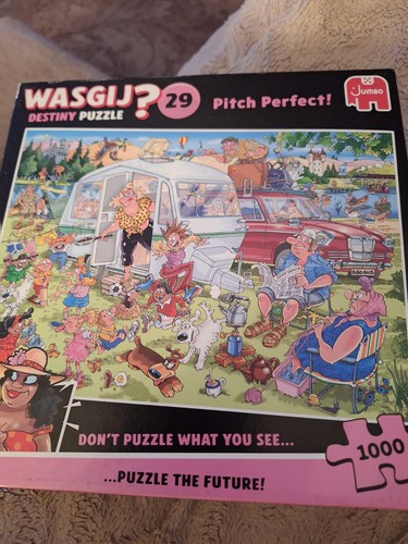 Wasjig destiny puzzle 1000 - wasjig,