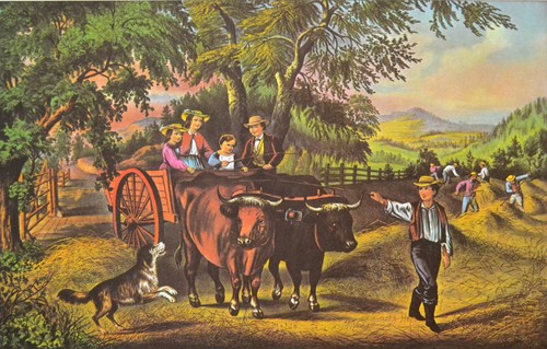 Haying time the first load - haying-time.,