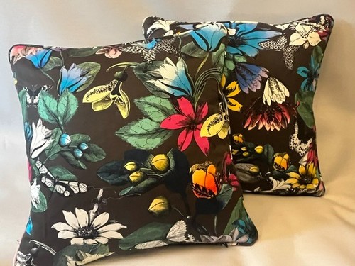 Osborne little cotton - &,