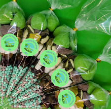 Personalised Pre Filled Dinosaur theme Sweet Cones Large Kids Party Bags Animal