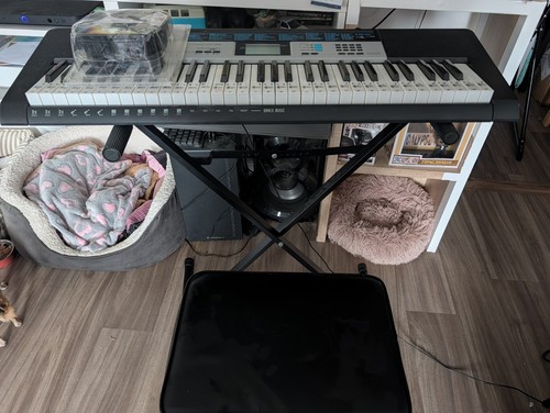Casio 160 electric - electric, keyboard