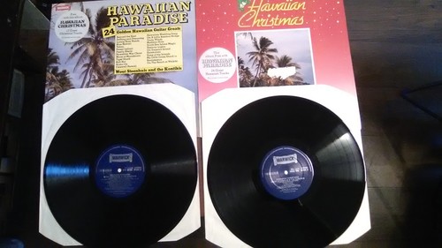 Wout steenhuis hawaiian - steenhuis:,