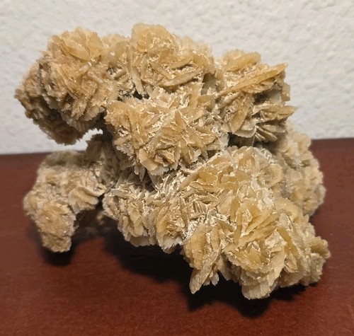 Desert rose gypsum cluster - rose,