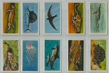 Brooke bond full - full, set,