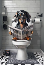 Dapple Dachshund on the Toilet Print,   Dachshund Print, Poster, A4 to A0
