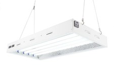 2Ft 4Lite T5 Grow Lights