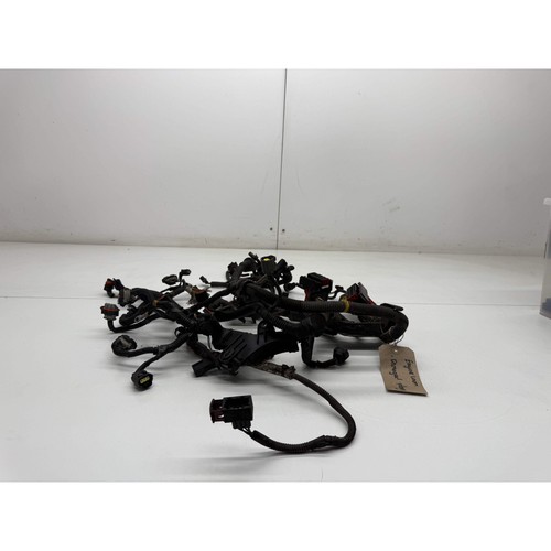Ford focus engine - engine, wiring