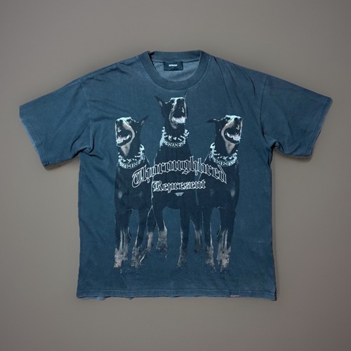 Represent thoroughbred - represent,