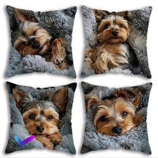 YORKSHIRE TERRIER Puppy Dog