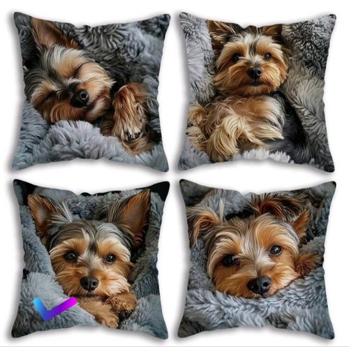 Yorkshire terrier puppy dog - terrier,