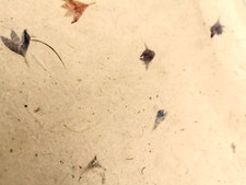 Mulberry Paper 10 sheets