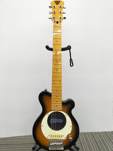 Pignose pgg 100 electric - pignose, pgg-100