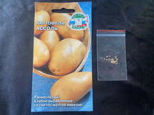 POTATO RUSSIAN POTATO SEEDS