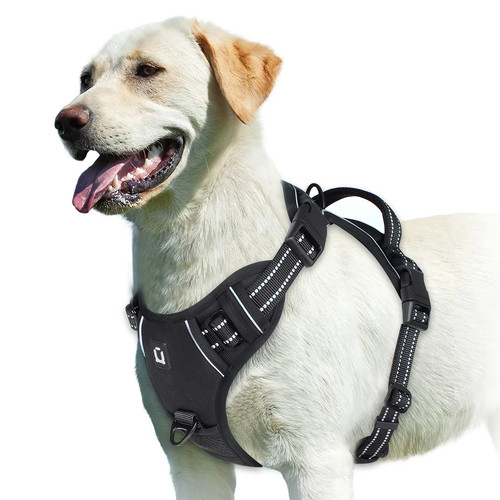 Dog harness pull - dog,