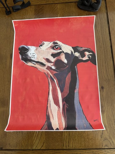 Whippet greyhound canvas - greyhound,
