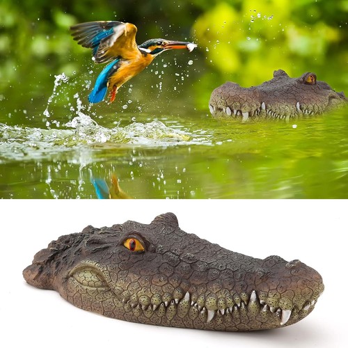 Floating crocodile head with - floating,