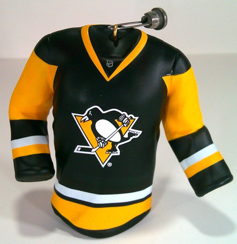 Pittsburgh penguins hockey - pittsburgh,