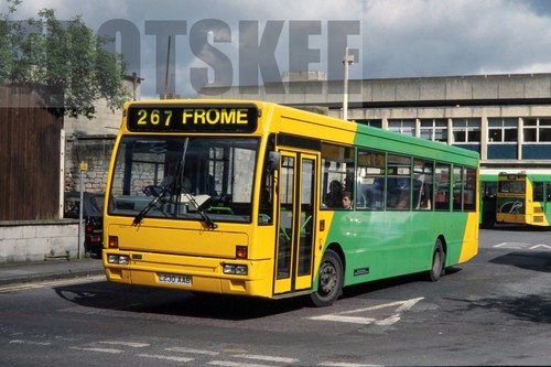 35mm colour slide badgerline - 35mm,