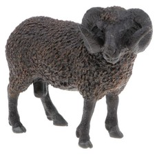 Black Color Sheep Farm Animal