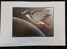 MC Escher First Day of