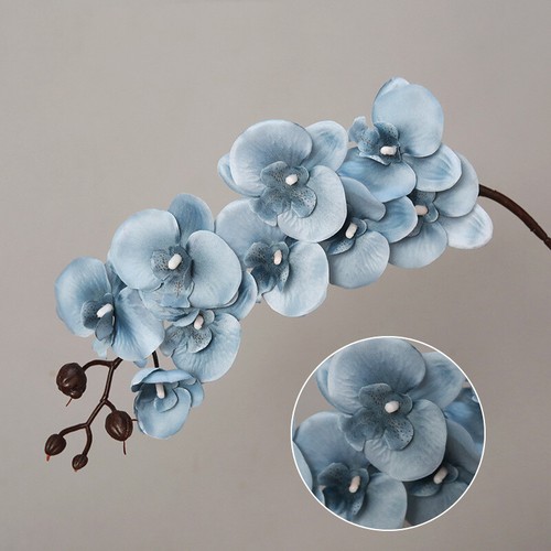 Real touch plants - real,