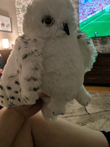 Douglas wizard snowy - snowy, owl