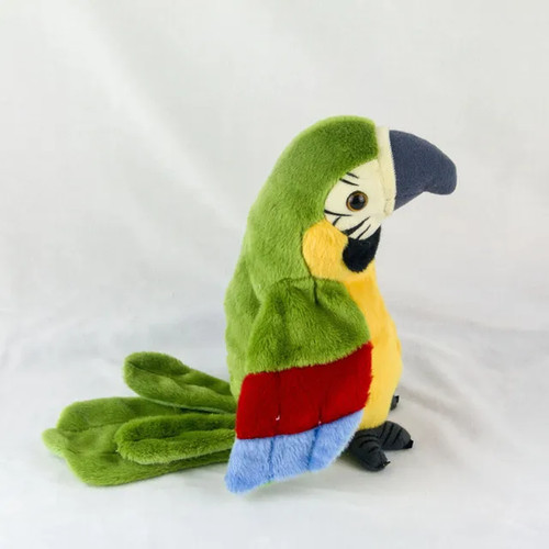 Talking macaw parrot - parrot, repeat