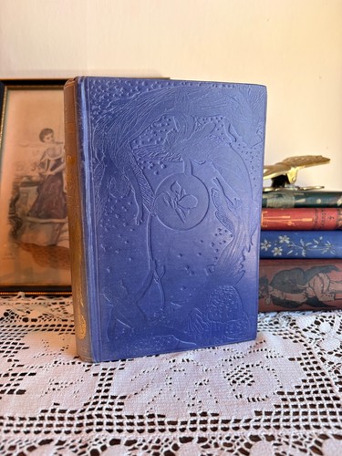 1913 the violet fairy - book, by