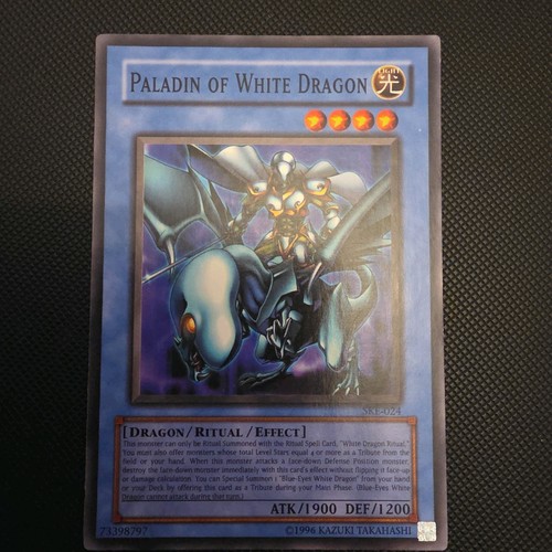 Paladin white dragon - of,
