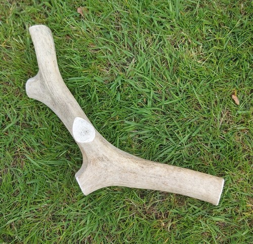 Red deer antler natural - red, dog