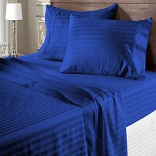 Royal Blue Stripe - Stylish