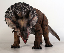 Definitive Triceratops Smaller
