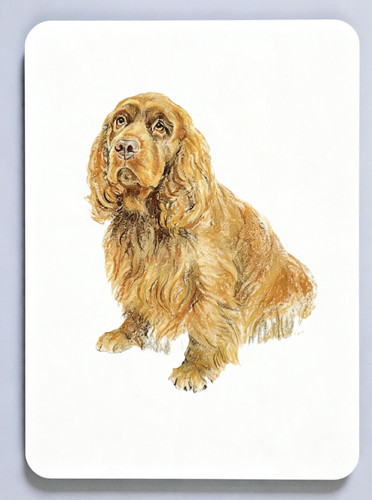 Sussex spaniel picture - sussex,