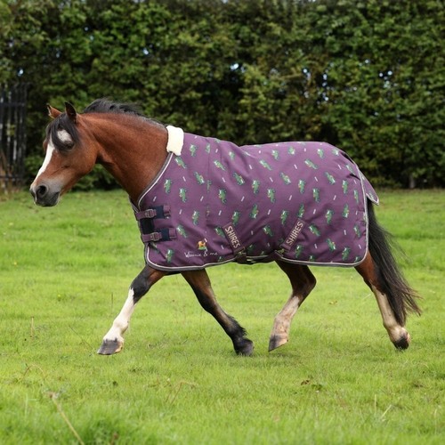 Shires winnie me - &,