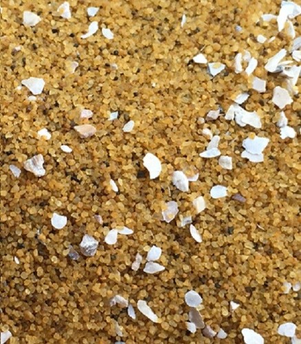Bird sand with oystershell - sand,