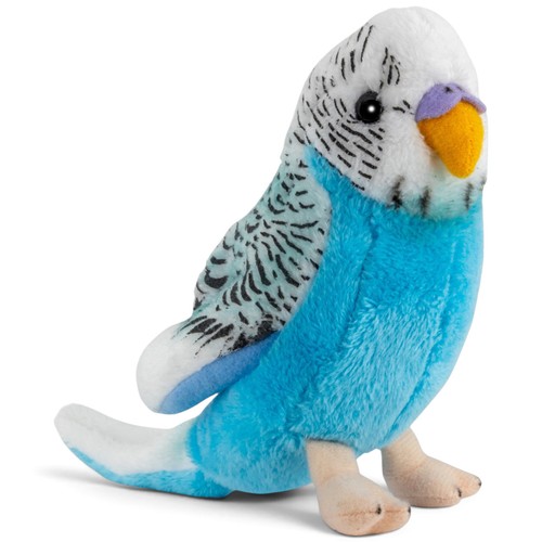 Carl dick budgie - budgie, bird