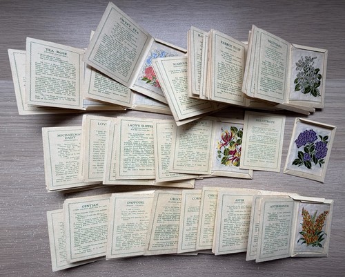 Complete set kensitas wix - kensitas,