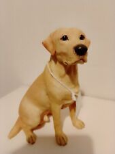 BORDER FINE ARTS   ,Dogs And Pups Galore GOLDEN LABRADOR