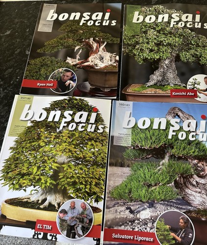 Focus bonsai magazine 4 - bonsai,