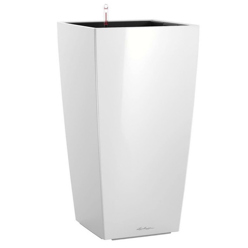 Tall indoor and outdoor - indoor,