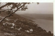 Scotland Postcard - The Kyles at Tighnabruaich - Real Photograph - TZ12295