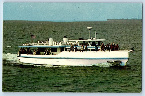 C1960 florida postcard - c1960, fl