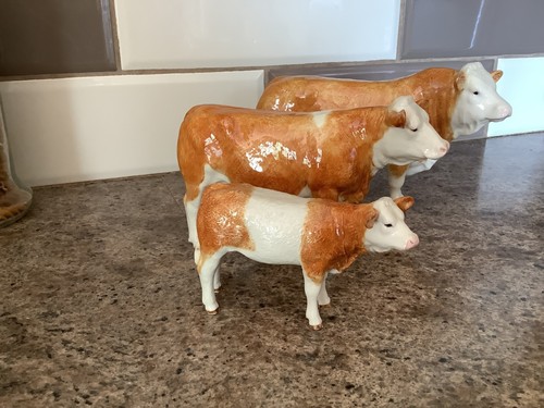 Border fine arts simmental - fine,