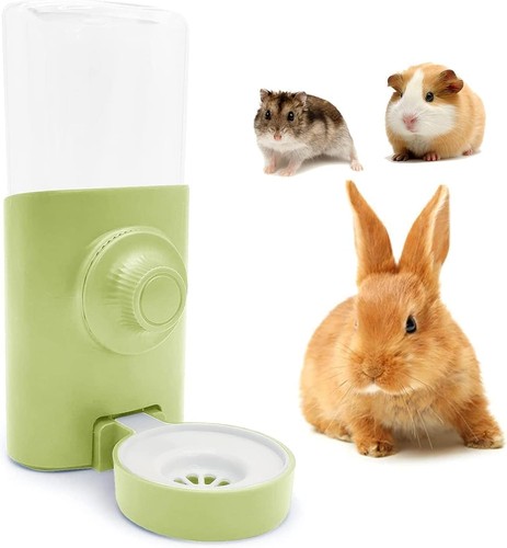 Rabbit water bottle green - bottle,