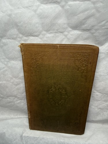 1856 analysis british ferns - analysis,