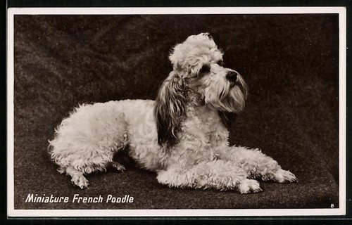 Postcard miniature french - postcard,