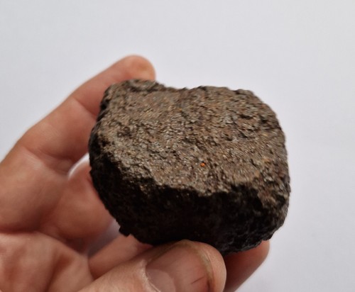 Large stone chondrite - stone,