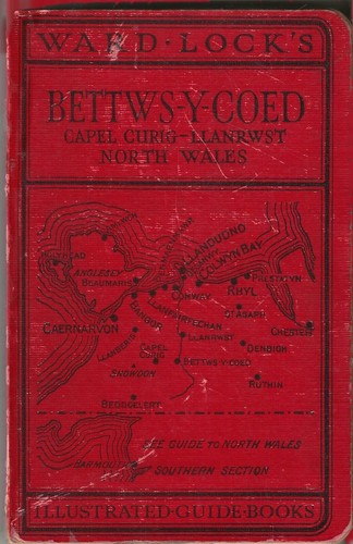 Ward lock red guide - lock,